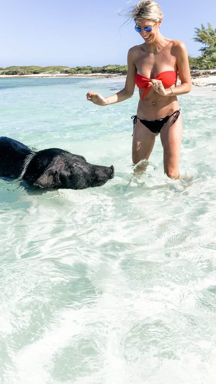 picture of a girl getting ready to feed the swimming pigs