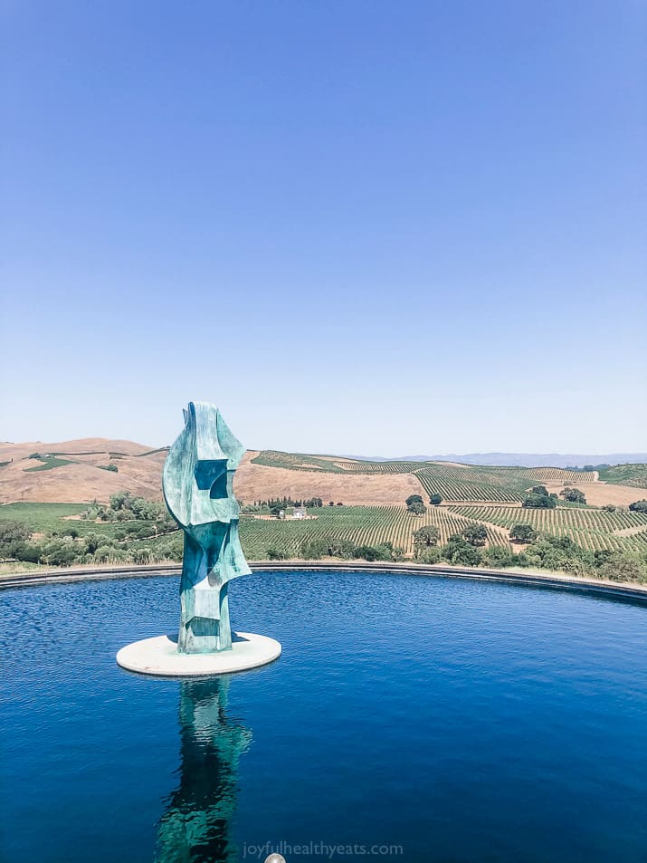 fountains and overlooking vineyards at artesa winery in napa valley california