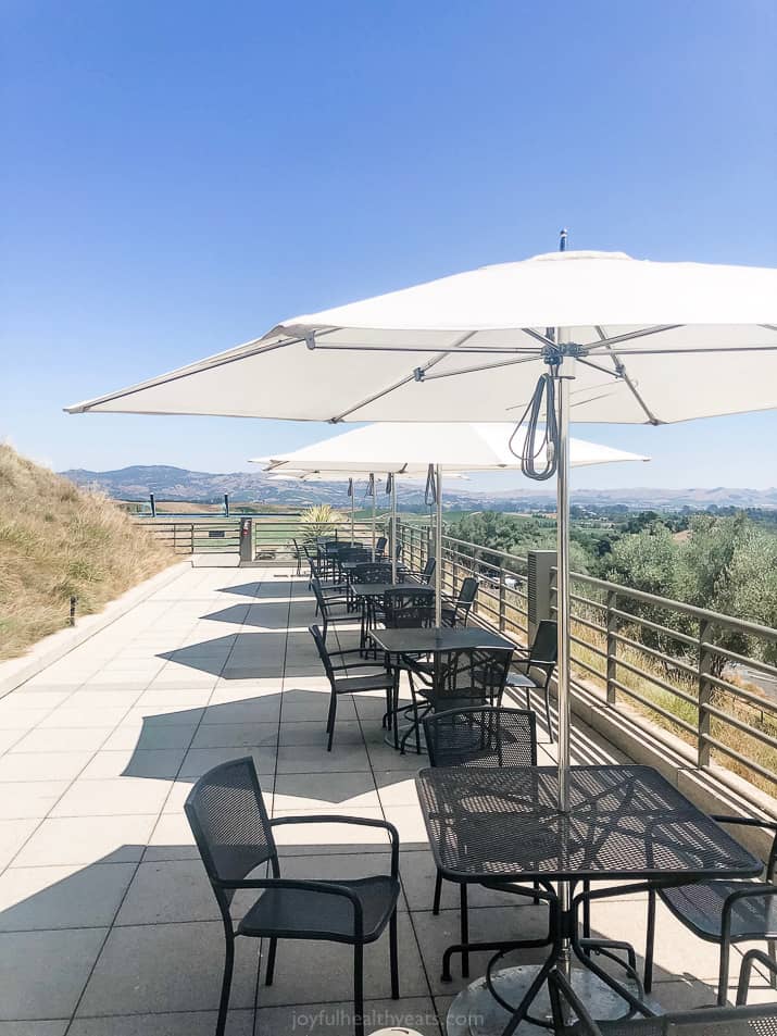 outdoor tasting room area at artesa winery in napa valley california 