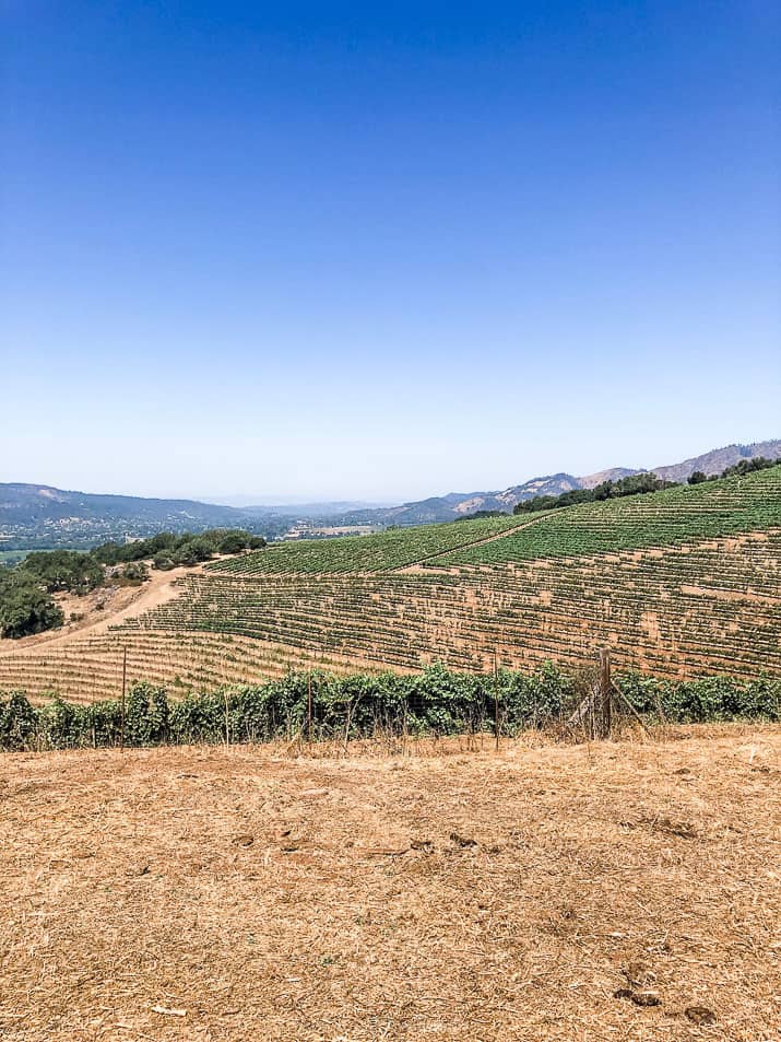 kunde family winery in sonoma county