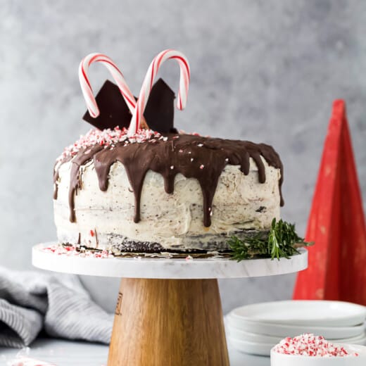 vegan chocolate cake with peppermint buttercream on a cake stand