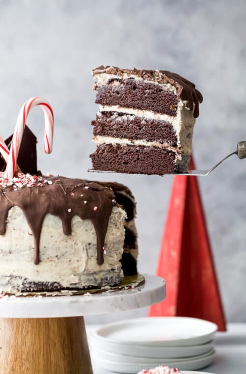 vegan chocolate cake piece being served