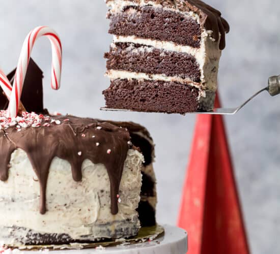 vegan chocolate cake piece being served