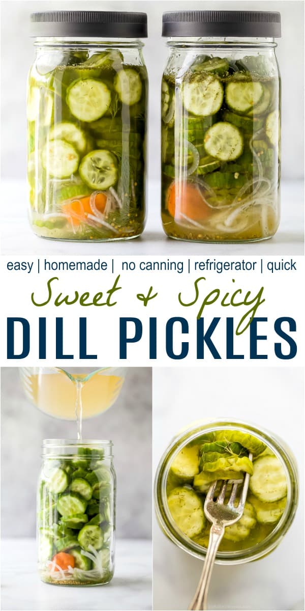 pinterest collage for best dill pickles