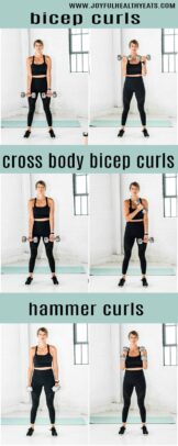 bicep workout exercises