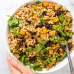 hand holding a bowl filled with farro salad