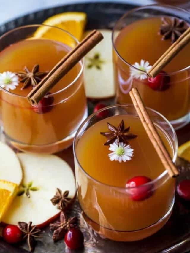،t apple cider with star anise on top