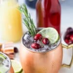 copper cup filled with cranberry gin moscow mule