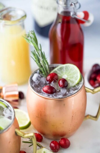 copper cup filled with cranberry gin moscow mule