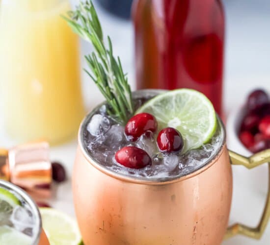copper cup filled with cranberry gin moscow mule