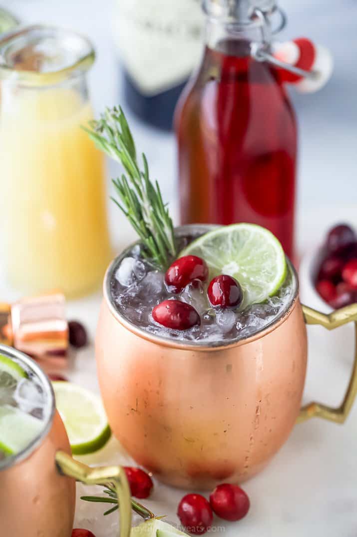 copper cup filled with cranberry gin moscow mule