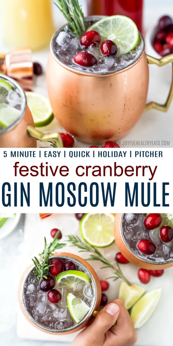 pinterest image for 5 minute cranberry gin moscow mule