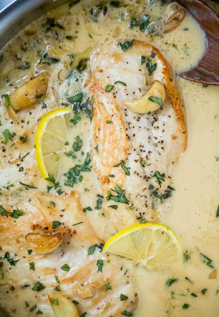 close up of pan seared chicken in garlic cream sauce