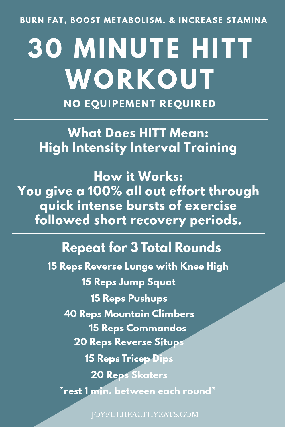 HIIT and Strength Workout Video (you can do at home) - The Fitnessista