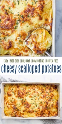 pinterst image for cheesy scalloped potatoes