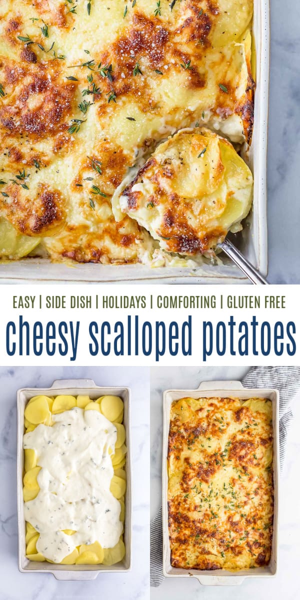 pinterest image for cheesy scalloped potatoes