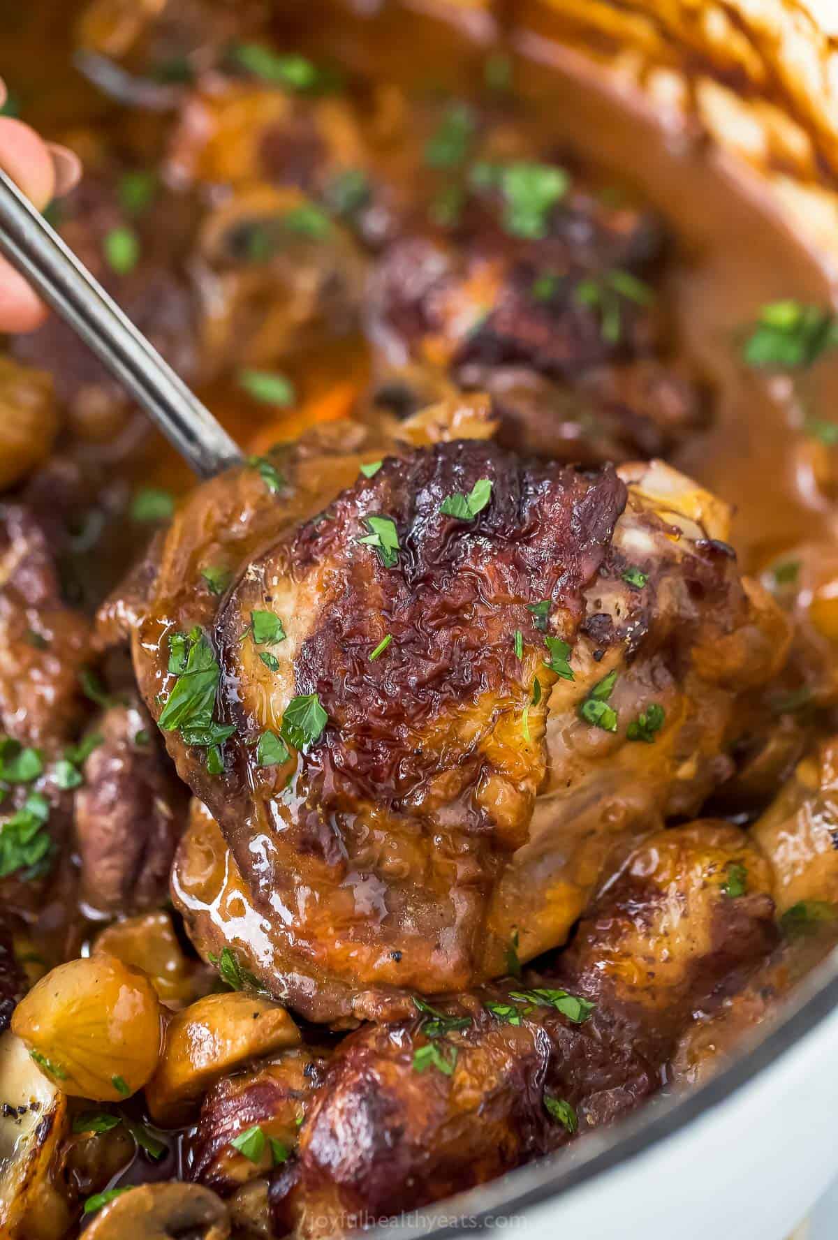 A close-up shot of a piece of wine-braised chicken being lifted above a pot of coq au vin stew