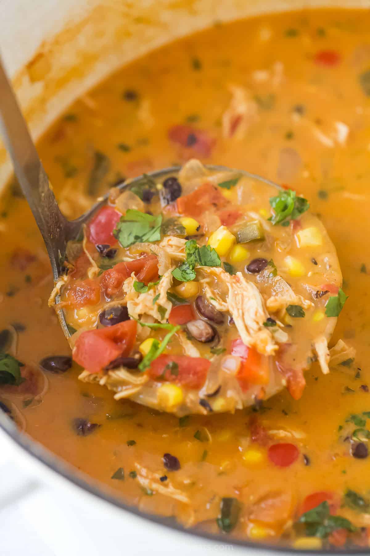 A ladle filled with chicken enchilada soup.