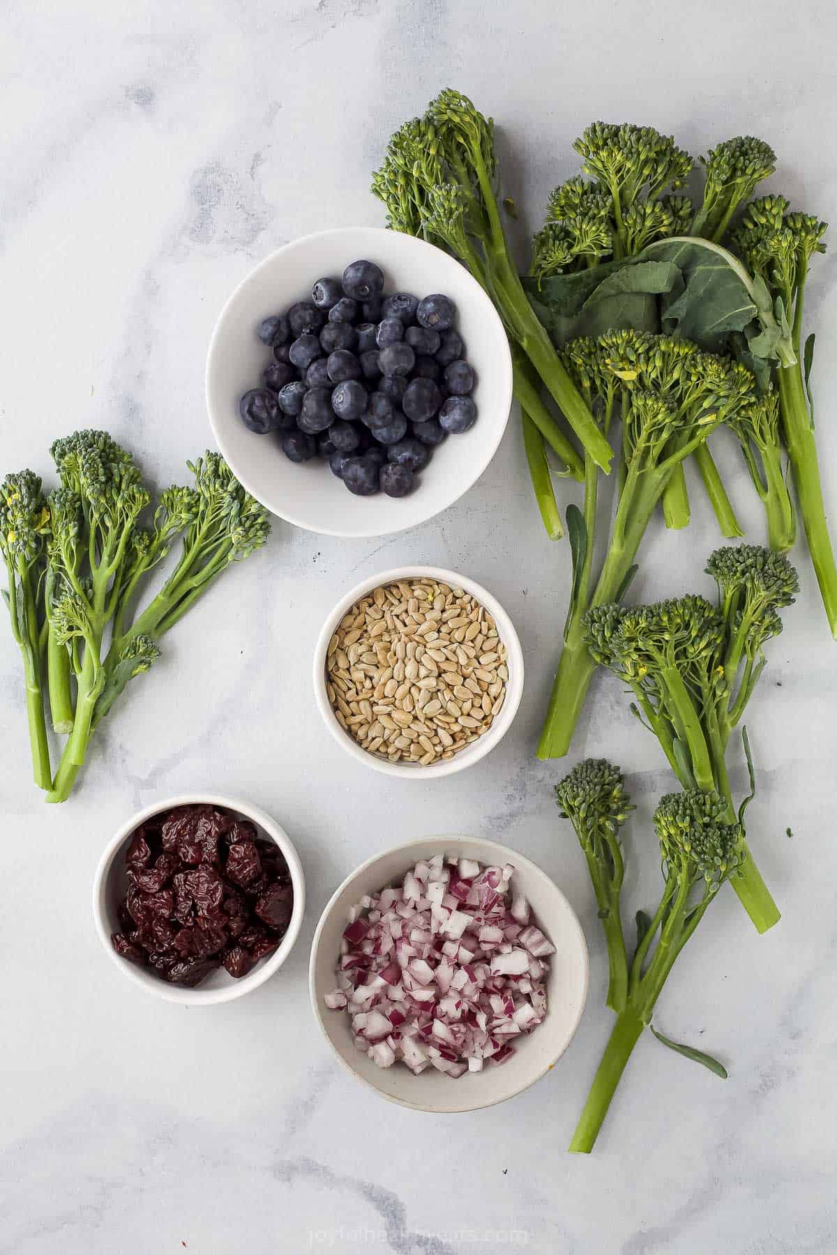 Blueberries, chopped red onions, sunflower seeds and the rest of the superfood salad ingredients on a countertop