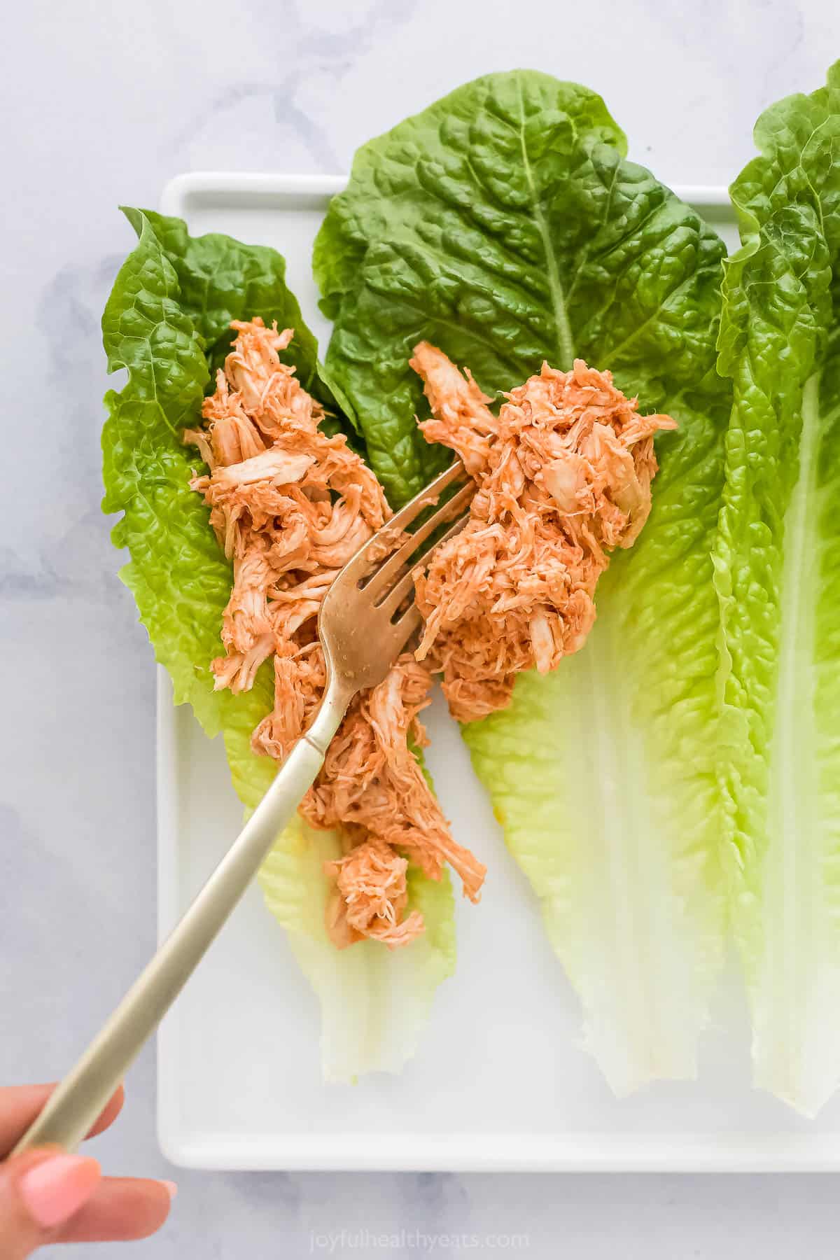 shredded buffalo chicken being spread on lettuce wraps