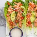 buffalo chicken lettuce wraps on a plate