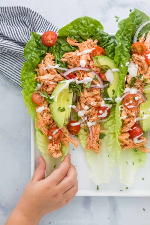 shredded buffalo chicken in lettuce cups