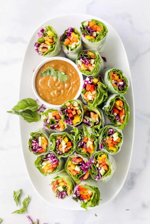 vegetable summer rolls with peanut sauce on a plate