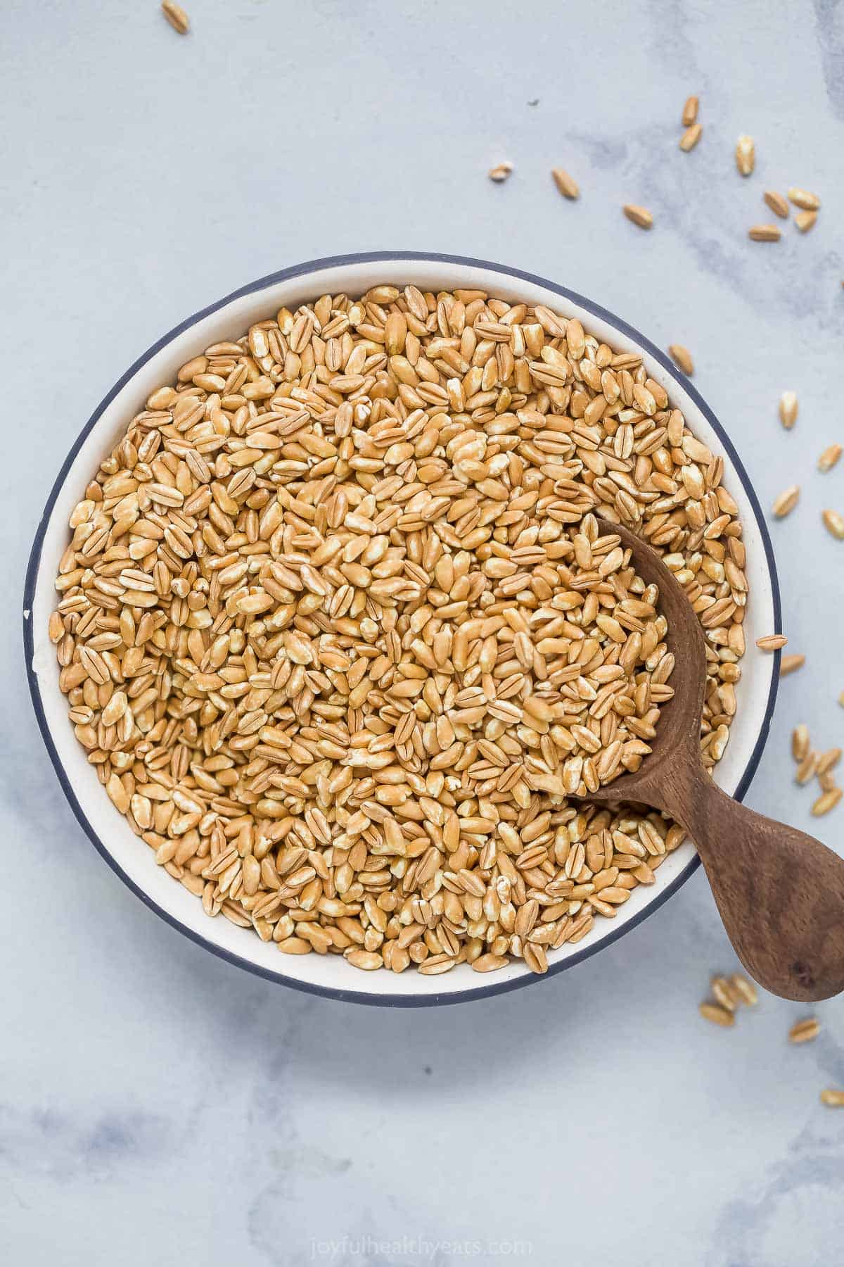 A bowl of uncooked farro with a large wooden spoon inside