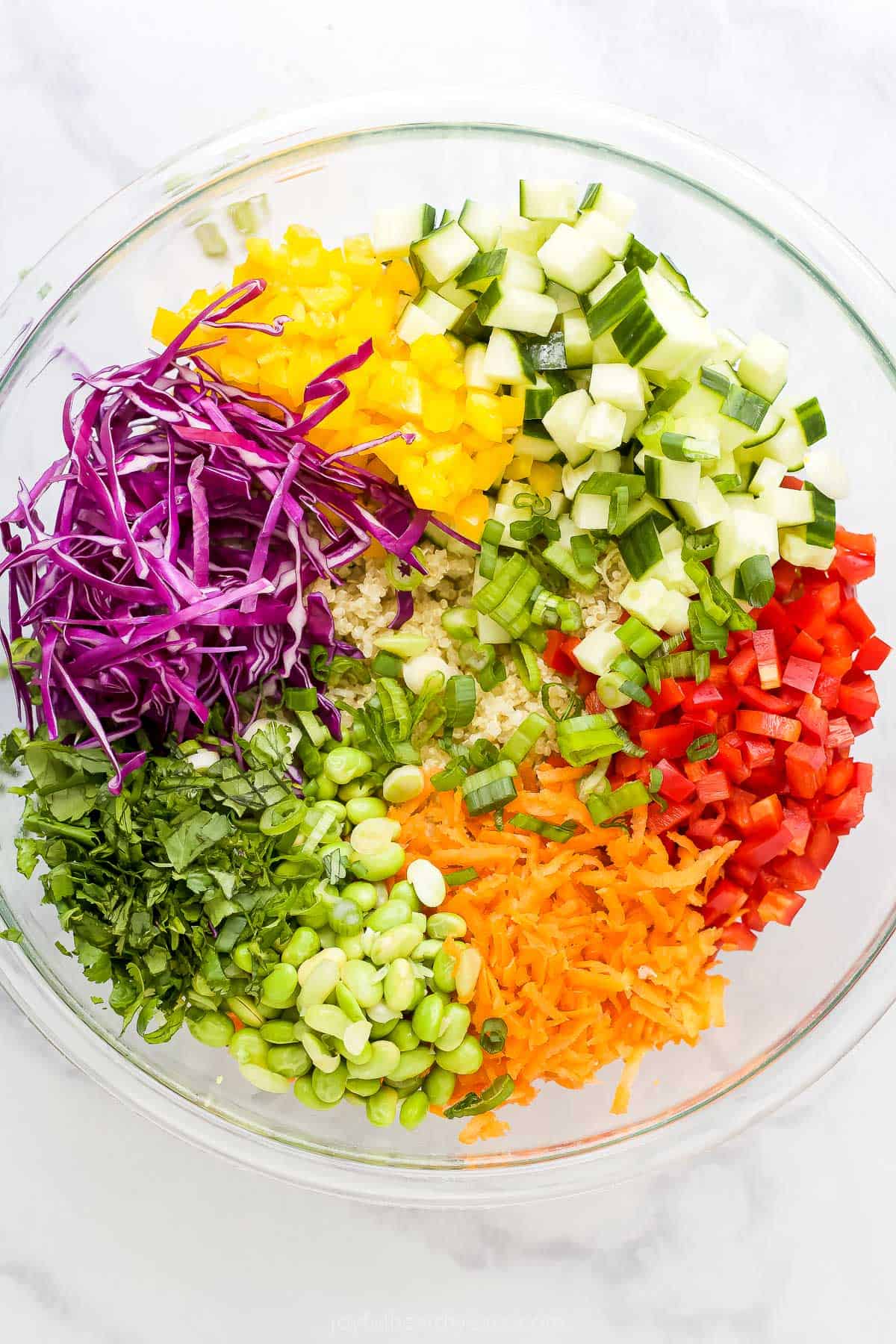 Shredded cabbage, chopped red & yellow bell peppers, unsalted cashews and the remaining ingredients inside of a mixing bowl