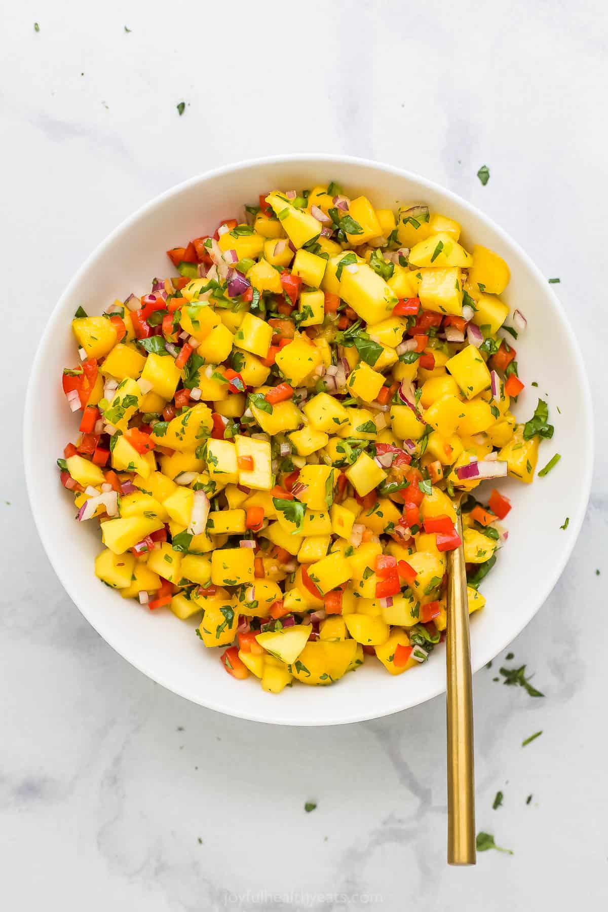 Mango salsa in a large bowl on top of a marble kitchen counter