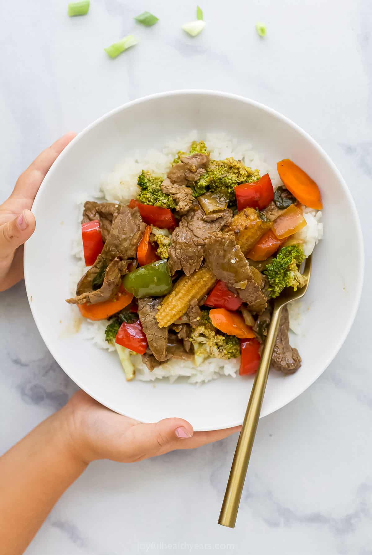 beef mixed with vegetables served on rice on a white plate