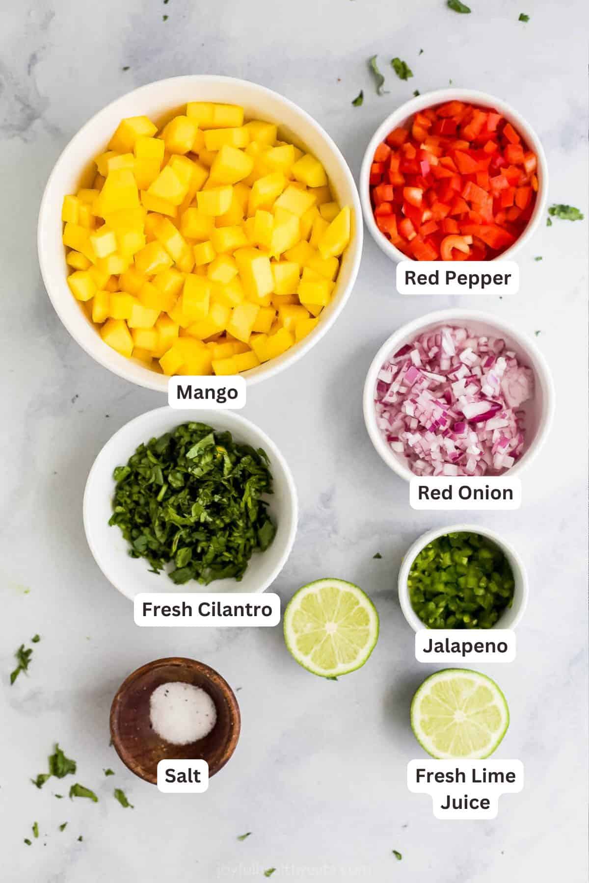 Fresh lime juice, red pepper, jalapeño and more make this Mango Salsa a super refreshing condiment that packs a punch of tropical goodness. Ingredients for Fresh Mango Salsa.