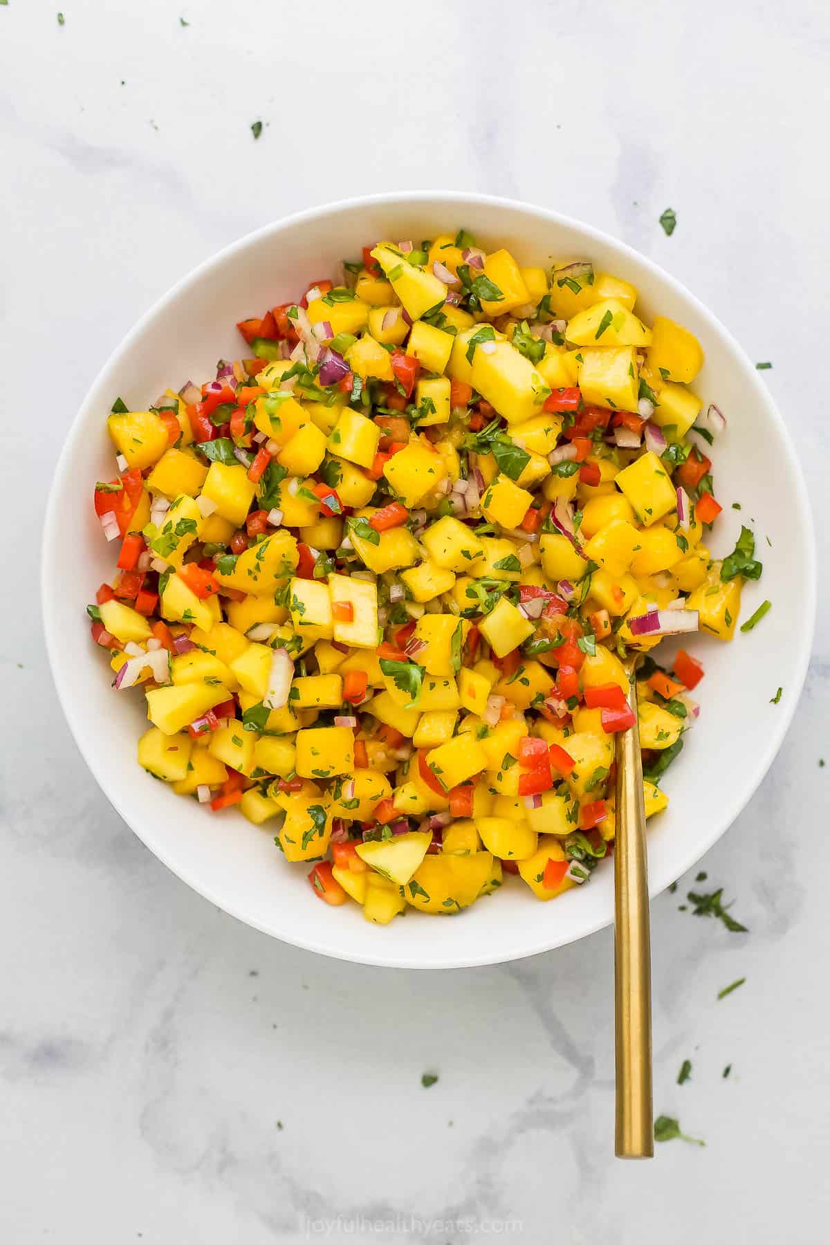 Fresh homemade salsa in a large bowl with a golden spoon inside