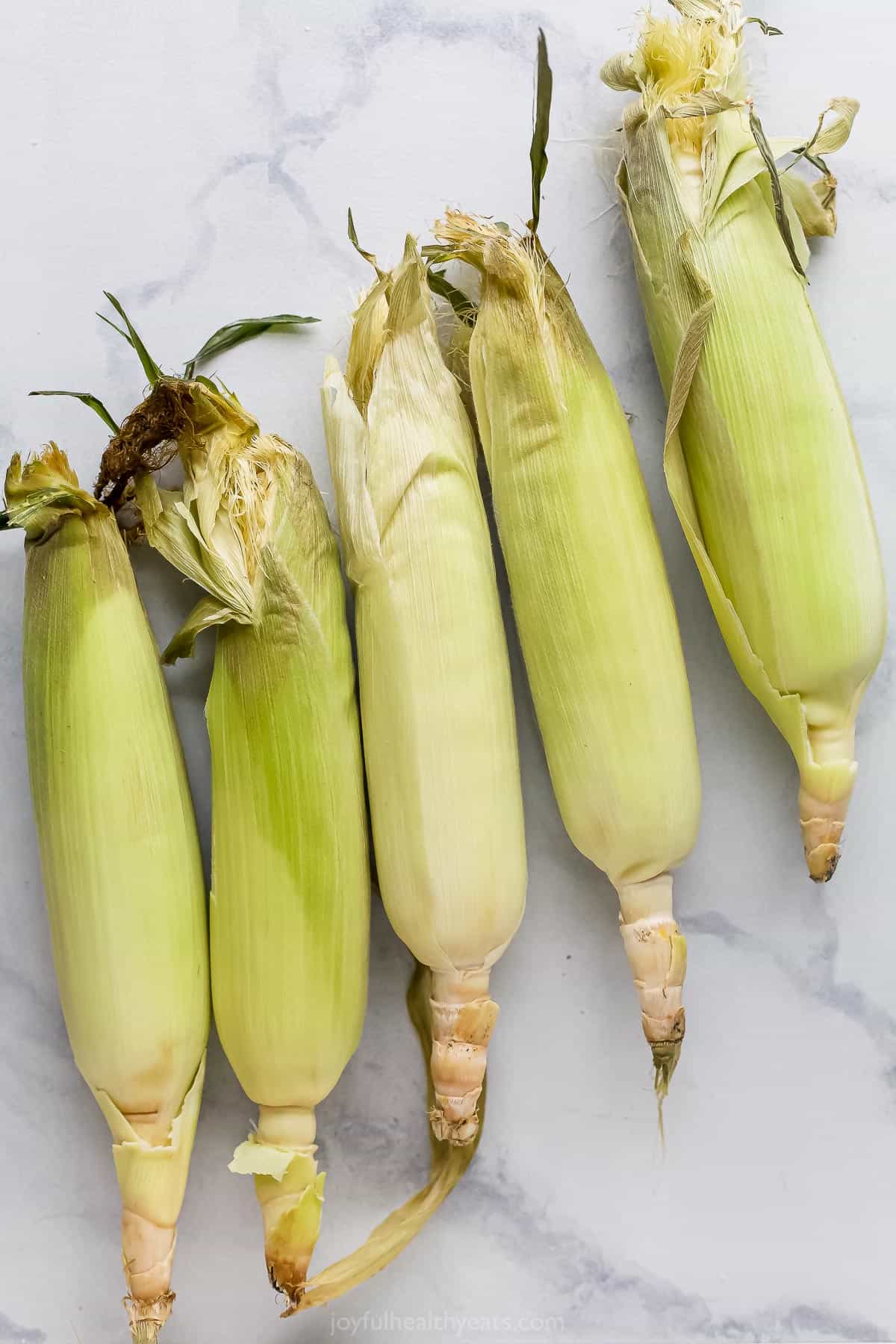 Five fresh ears of corn lined up on a marble kitchen countertop