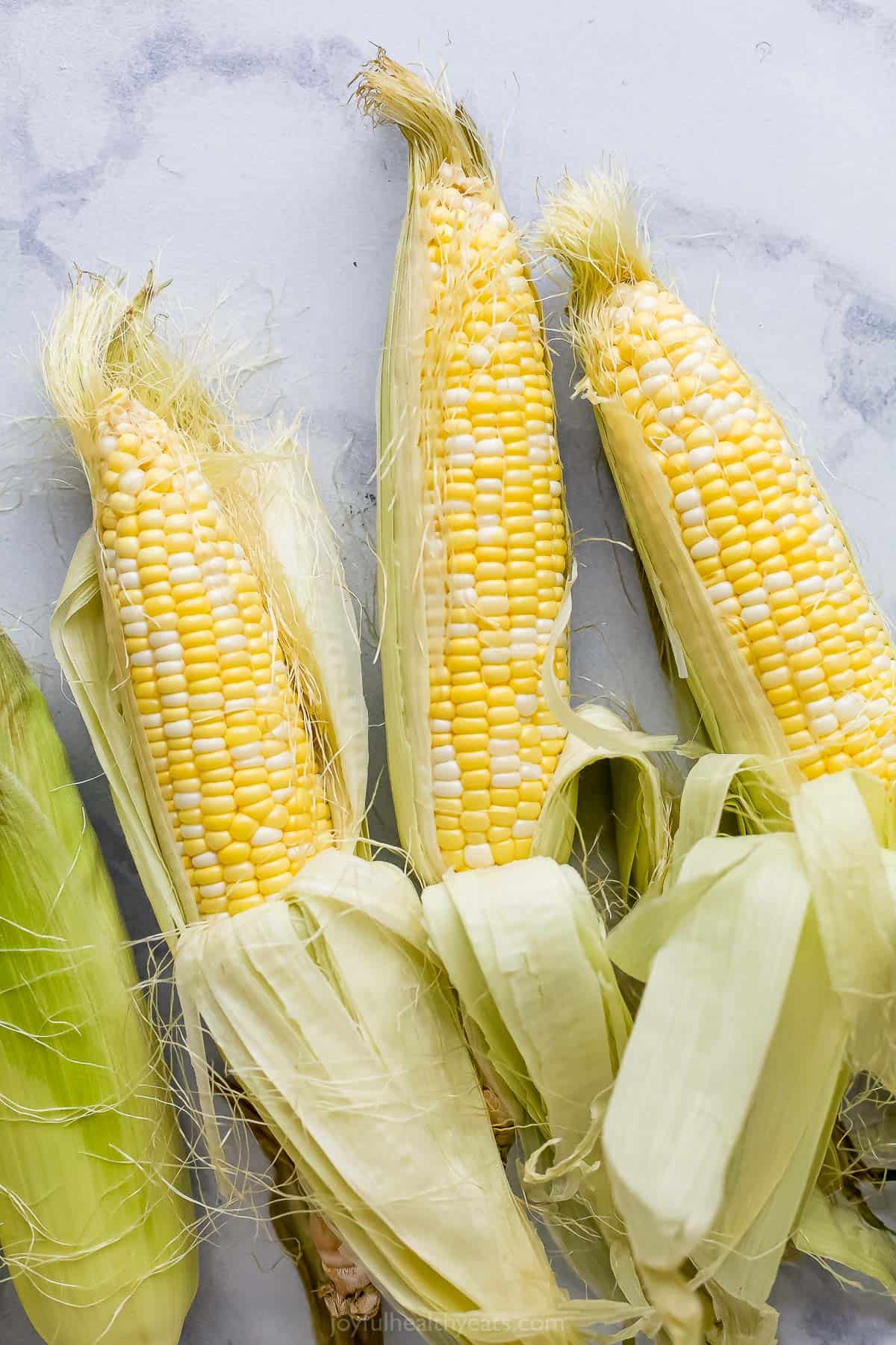 Three ears of corn with the shucks peeled back on one side