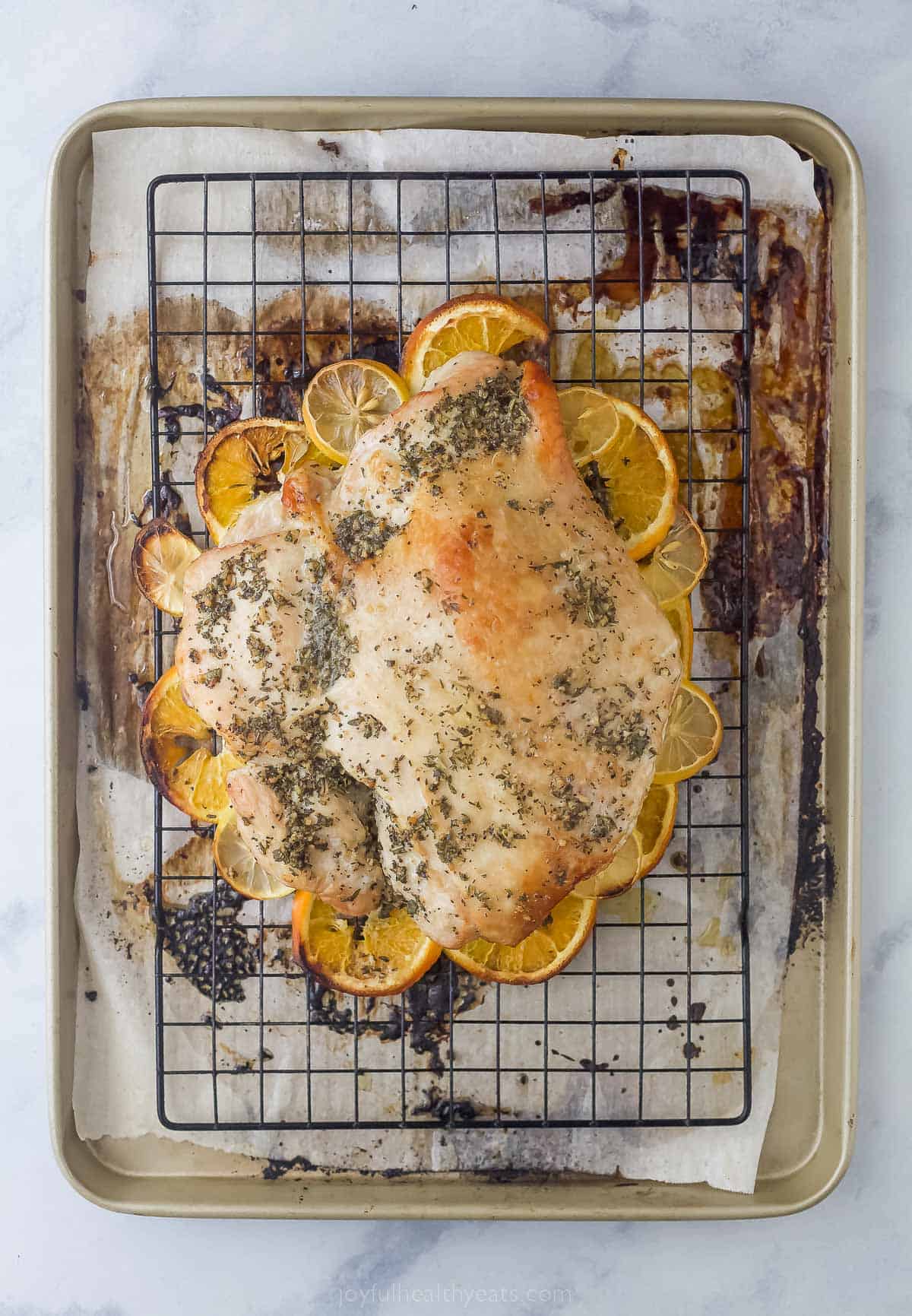 cooked turkey breast ontop of citrus slices on a sheet tray