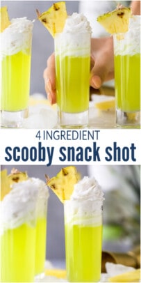 pinterest image for Scooby Snack Shot