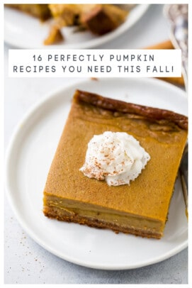 pinterest image for 16 Perfect Pumpkin Recipes - Easy Pumpkin Recipes for Fall!