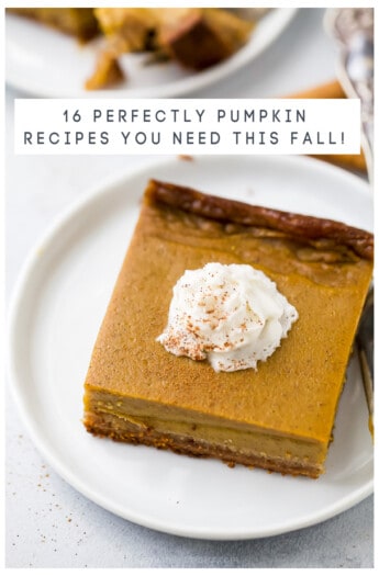 pinterest image for 16 Perfect Pumpkin Recipes - Easy Pumpkin Recipes for Fall!