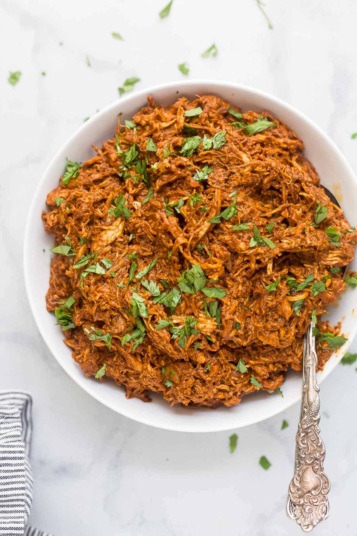 shredded chicken tossed in a dark red mole sauce topped with fresh herbs