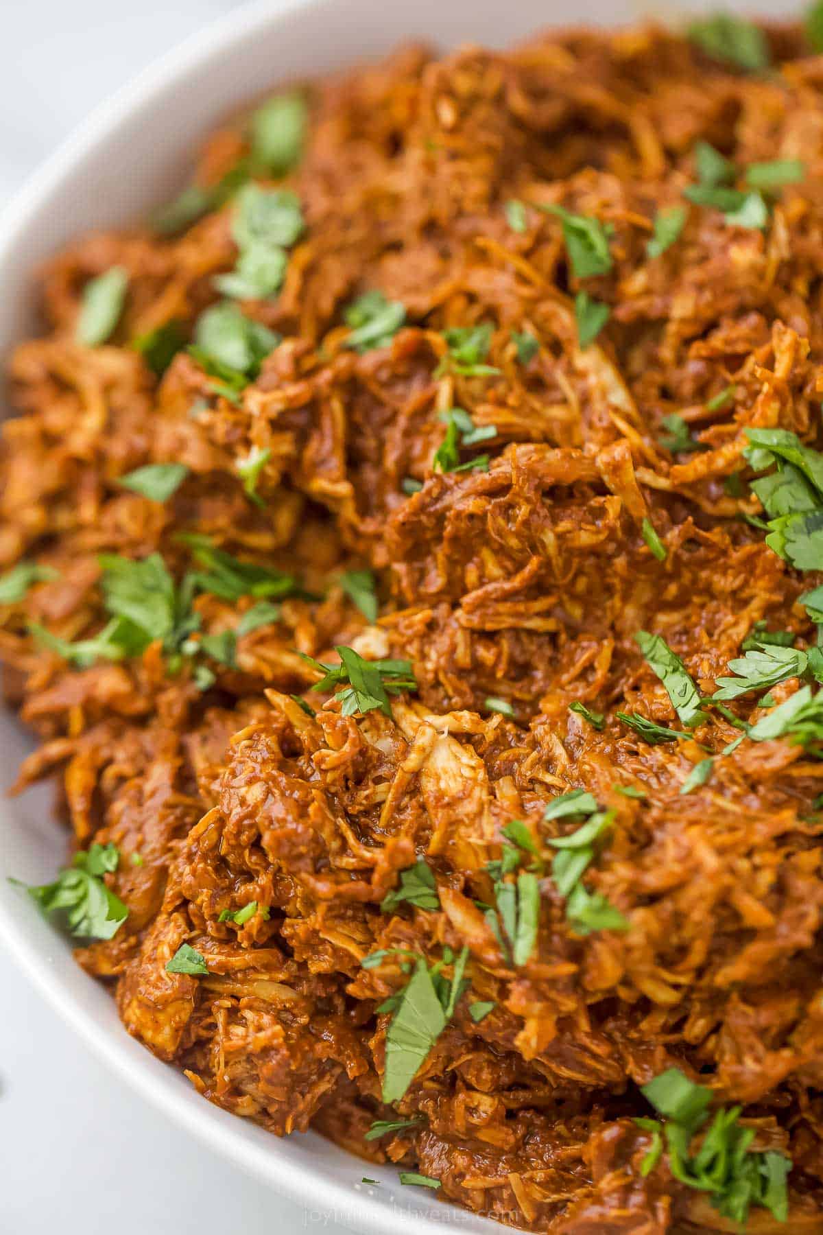 shredded chicken tossed in a dark red mole sauce topped with fresh herbs