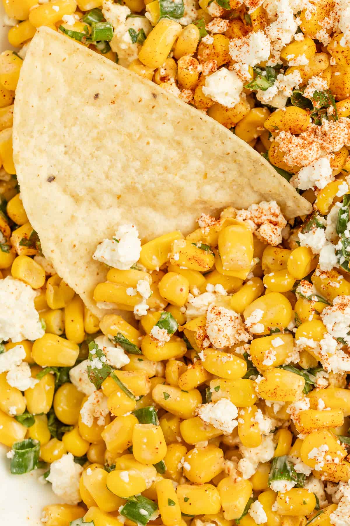 Close-up of a corn chip in the Mexican street corn dip.