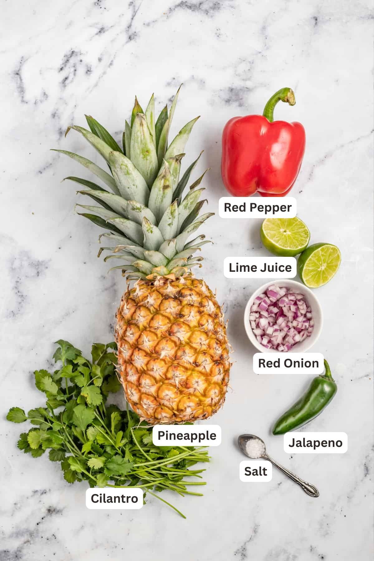 With bell pepper and jalapeño, this 15-minute pineapple salsa is a tangy, fruity, and crunchy addition to your all your meals. Ingredients for Fresh Pineapple Salsa.
