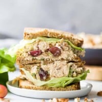 Classic-Healthy-Chicken-Salad-Recipe-web-8