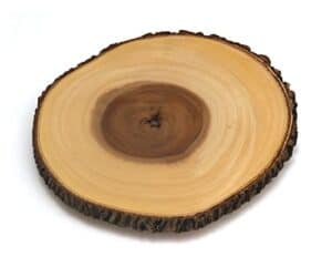 Lipper International 1030 Acacia Tree Bark Footed Server for Cheese, Crackers, and Hors D'oeuvres, Large