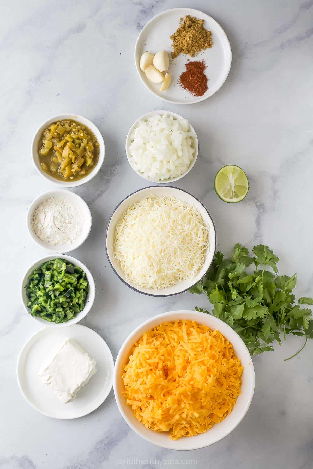 Ingredients for chile con queso.