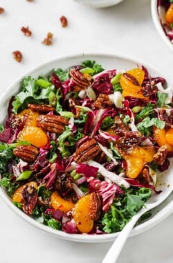 Bowl of kale salad with cranberries with a fork.