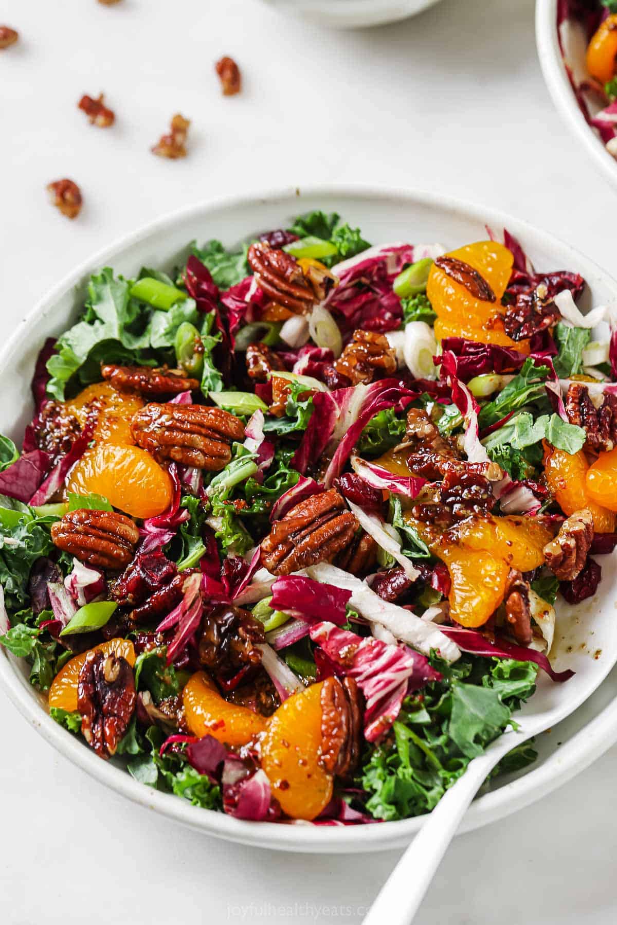 Bowl of kale salad with cranberries with a fork.