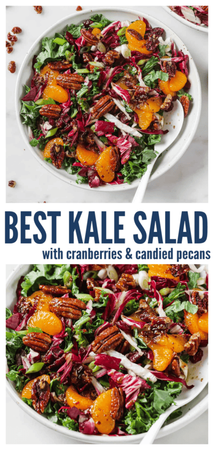pinterest image of cranberry kale salad