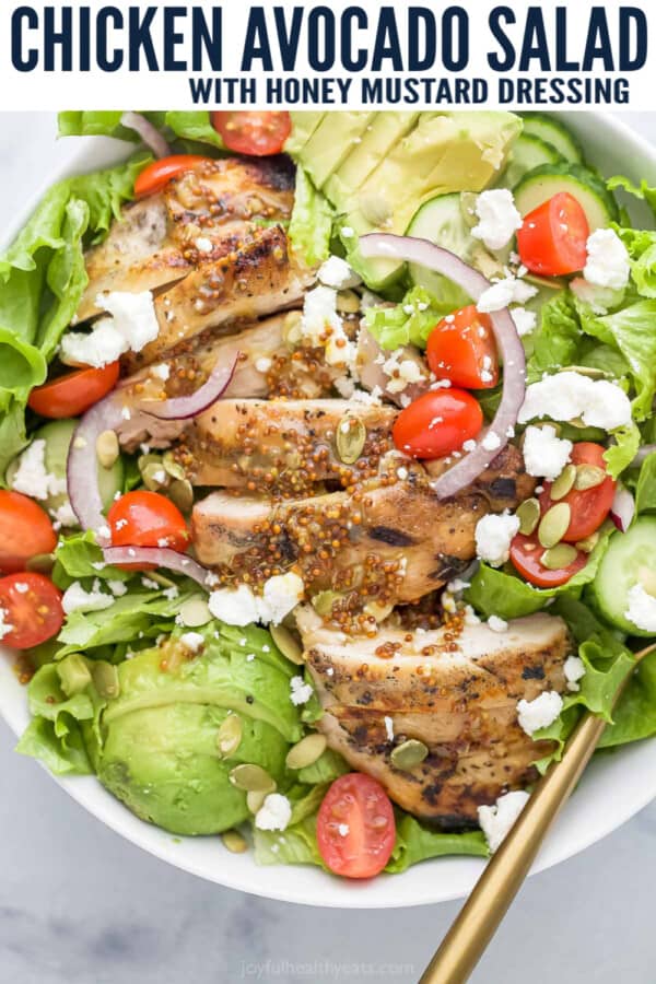 chicken avocado salad pinterest images